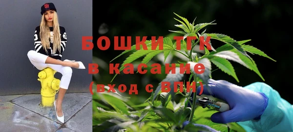 PSILOCYBIN Арсеньев