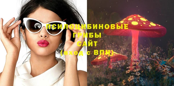 PSILOCYBIN Арсеньев