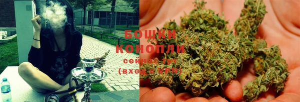 PSILOCYBIN Арсеньев