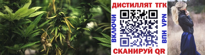 Дистиллят ТГК гашишное масло  Купить закладки  Покров 
